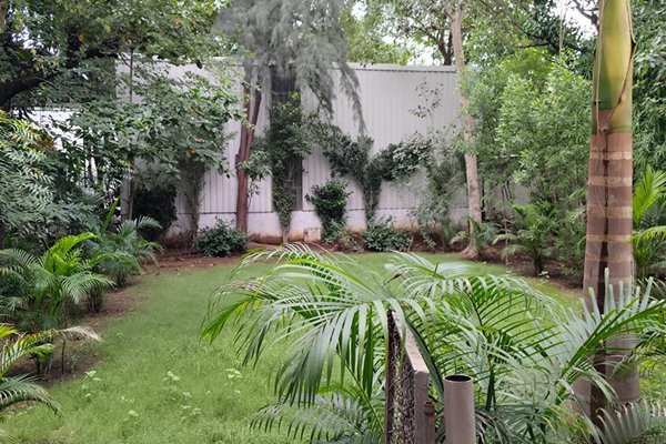 Indoor Garden Area